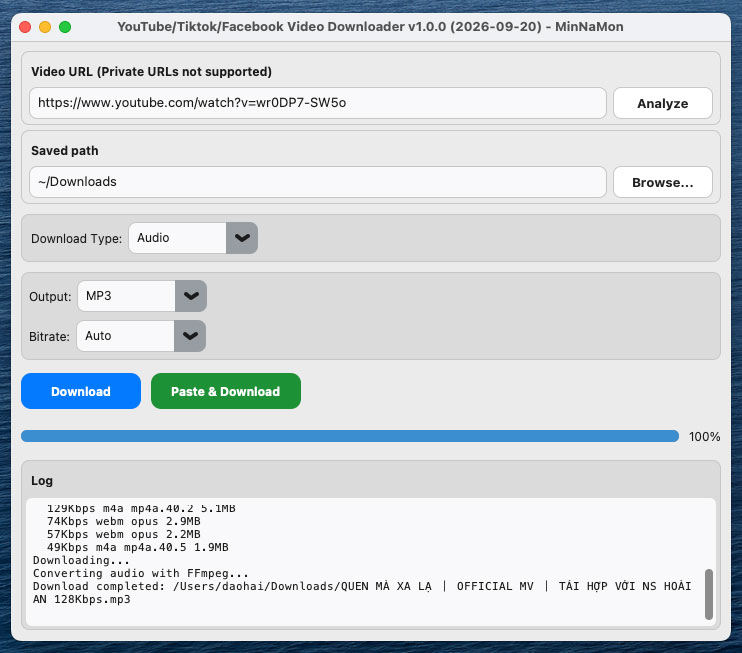 YouTube / TikTok / Facebook Video Downloader screenshot